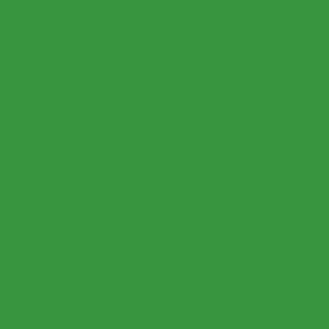 R 312 - Verde-bandeira
