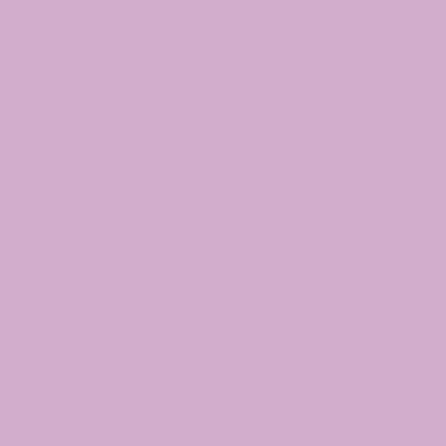 SW 6836 - Novel Lilac