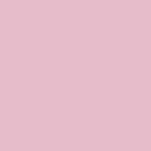 SW 6853 - Fussy Pink